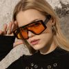 Fashion One Piece Sunglasses Women Glasses Retro Sunglass Men Luxury Designer Eyewear UV400 Sun Glass Fishing Brown Shades